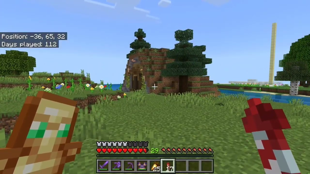 My MC world