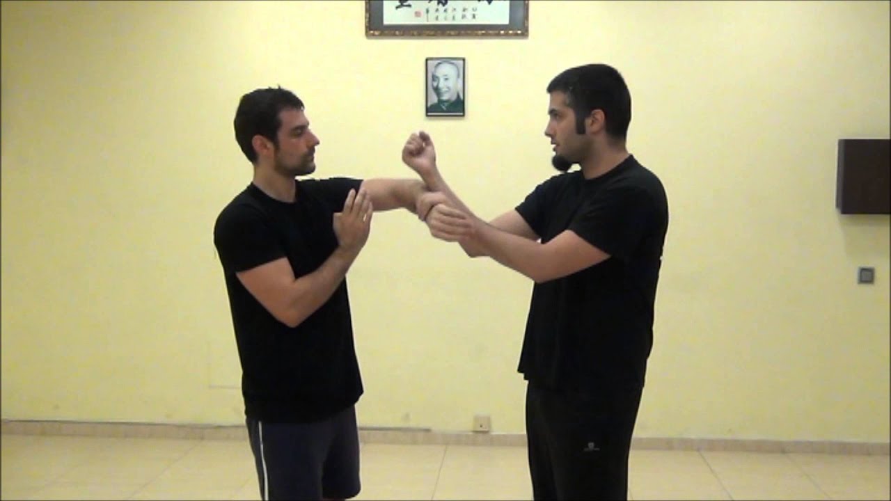 Ciclo de lap sao