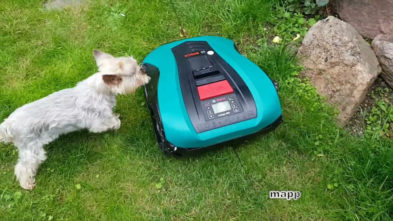 Intelligent lawn mowing  - Robotic Lawn Mower Bosch Indego
