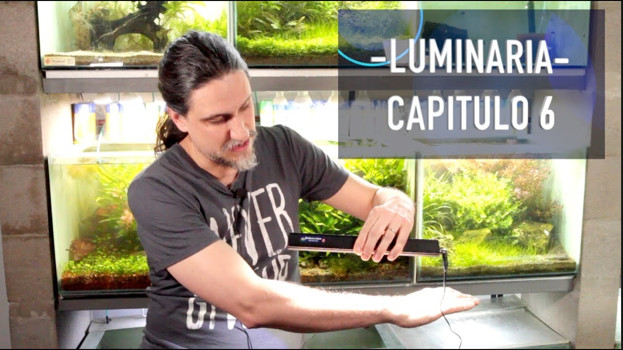 ACUARIO DESDE CERO, Luminarias e Iluminación, Fin de montaje, Cap 6 - ACUAMANUS