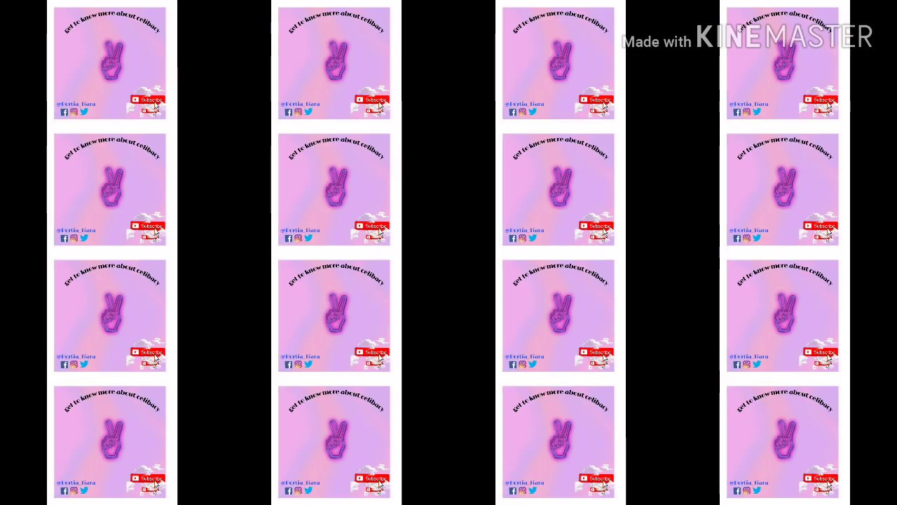 understanding celibacy