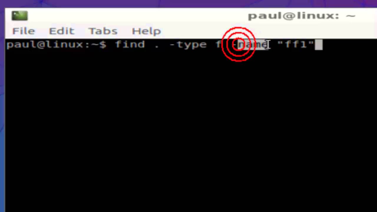 How to find a file in Linux Shell terminal