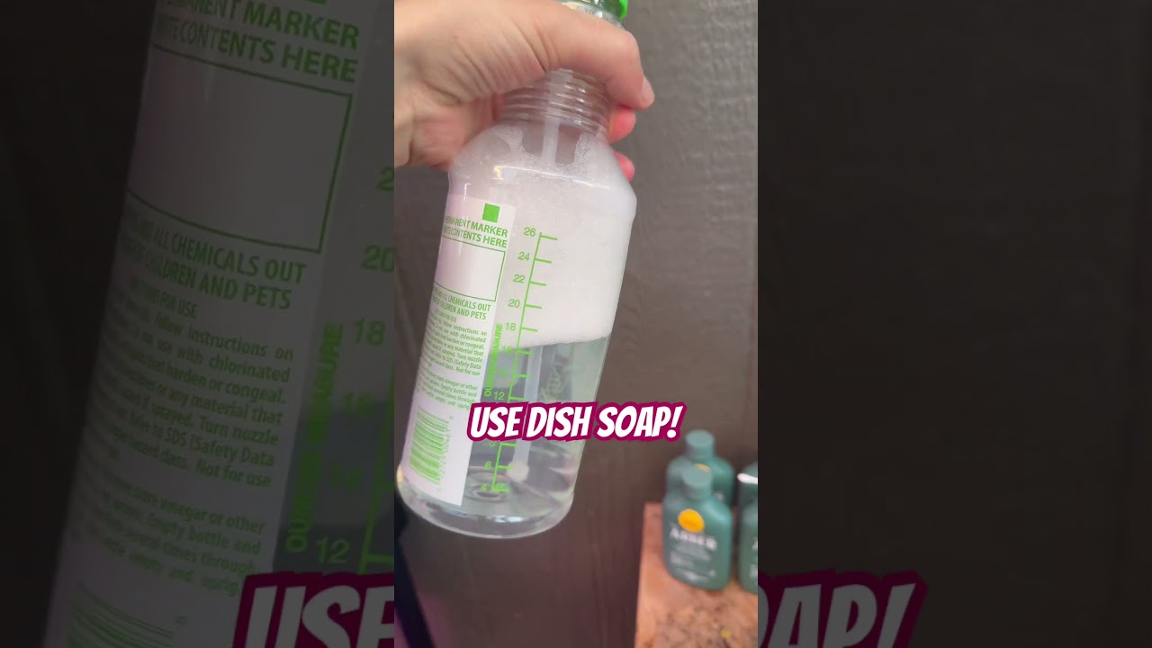 🪲Got aphids on your plants?? Try using dish soap to get rid of these garden pests!! #shorts #garden