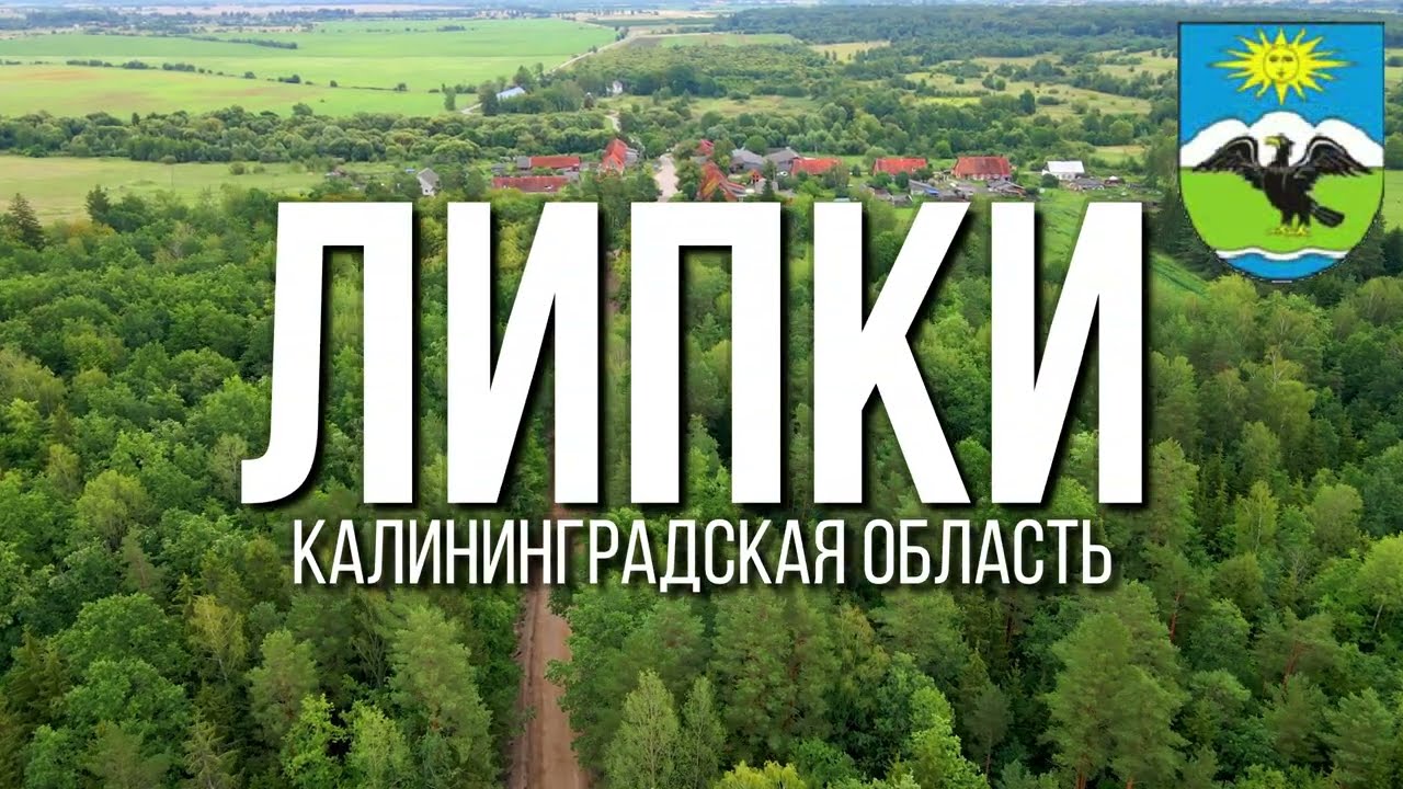 4К. Липки. Озёрский район. Калининградская область