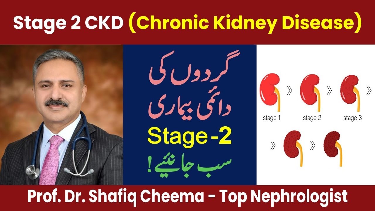 Chronic Kidney Disease (CKD) Stage 2 | Causes, Symptoms & Treatment | Best Nephrologist in Lahore