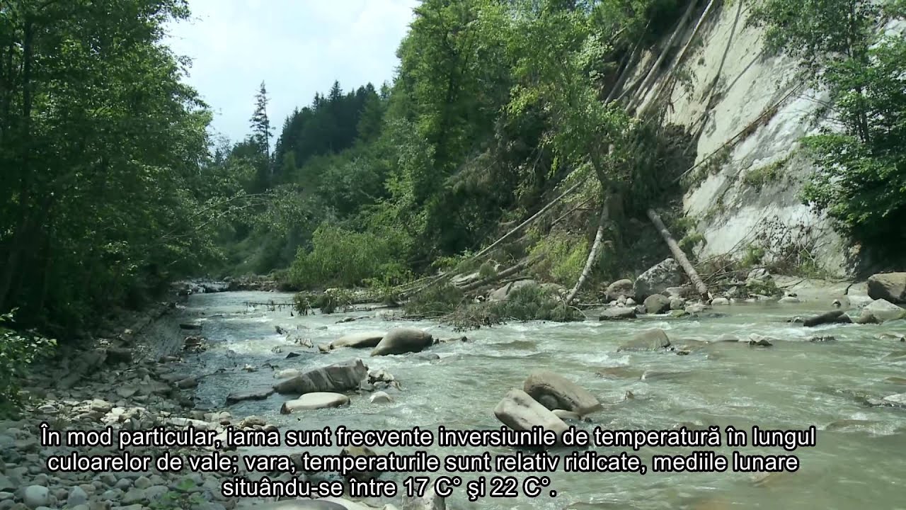 Film documentar Rezervatia Penteleu - Judetul Buzau