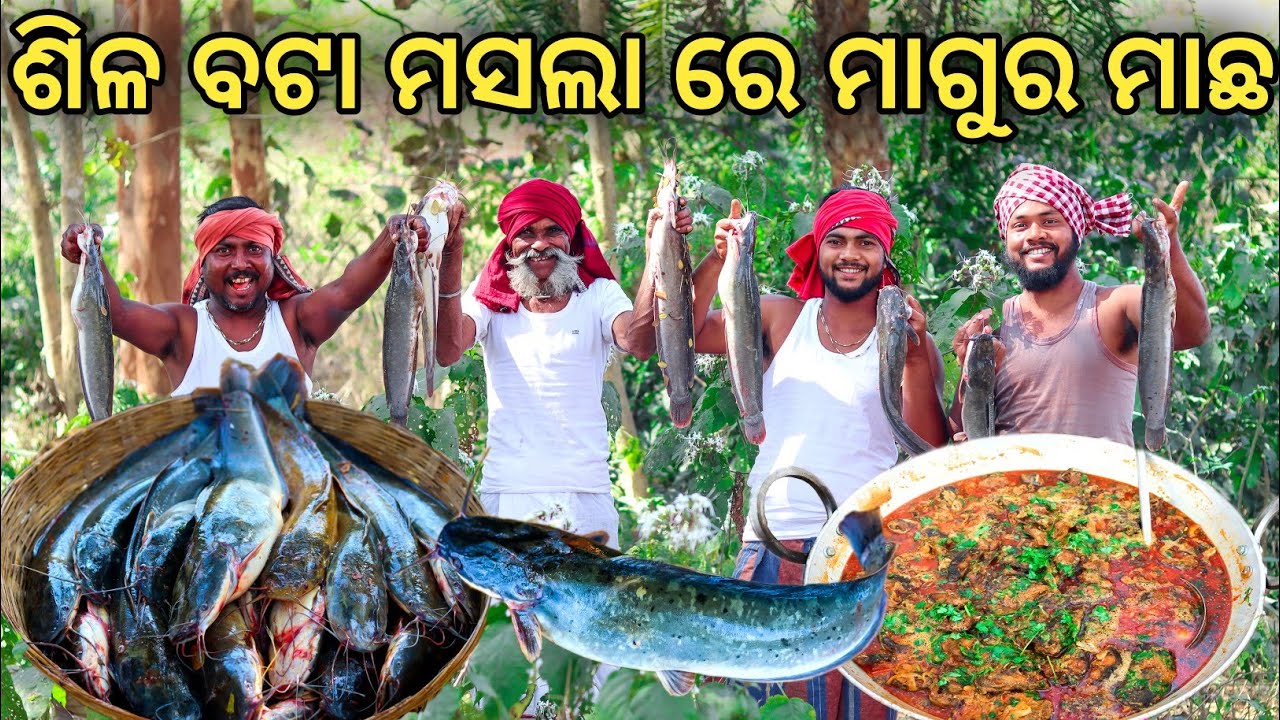 ମାଗୁର ମାଛ ଝୋଳ || Cat Fish Curry || Magura machha jhola || Fish Curry Recipe Cooking in Village.