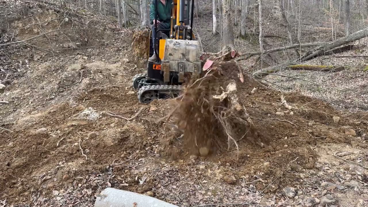 Chinese Mini Excavator Will it remove stumps !!! ?? Part 2