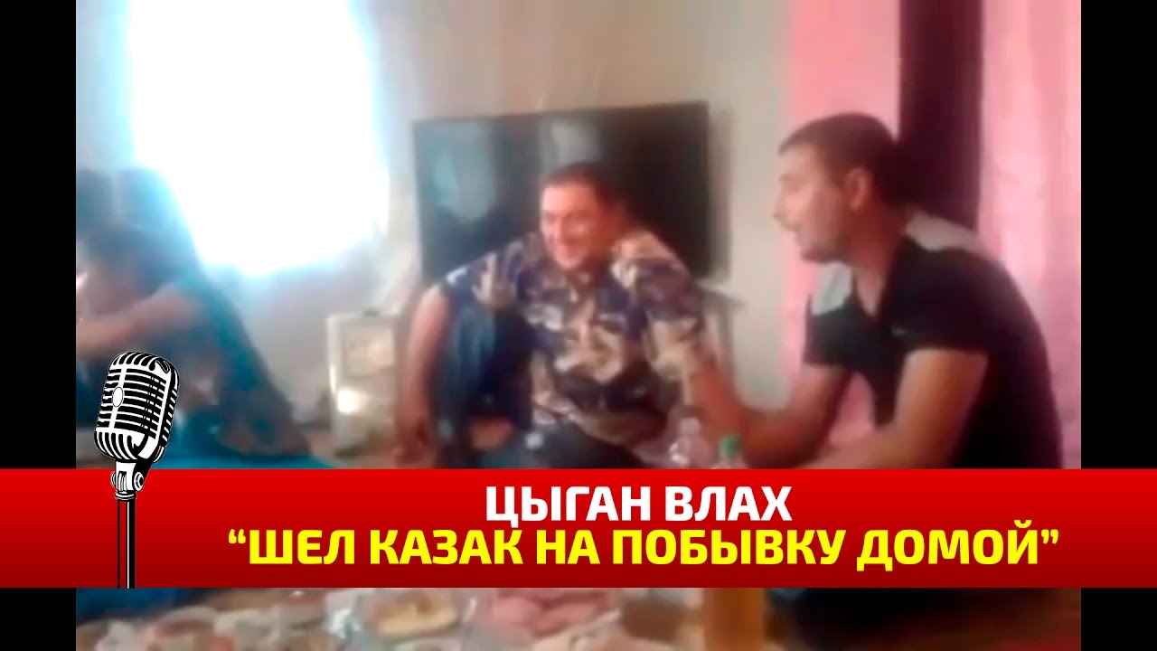 Цыган Влах поет шел казак на побывку домой