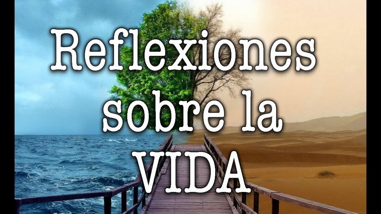 Jorge Bucay -  Reflexiones sobre la Vida