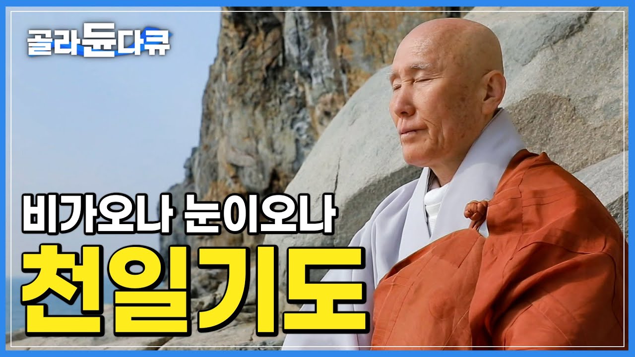 무인도에서 나라의 평안을 위해 천일 기도하는 '성각스님'│73세에 매일 거친 산길을 올라 절벽 끝으로 향한다│고려시대 남해에서 가장 높은 산에 세워진 망운사│한국기행│#골라듄다큐