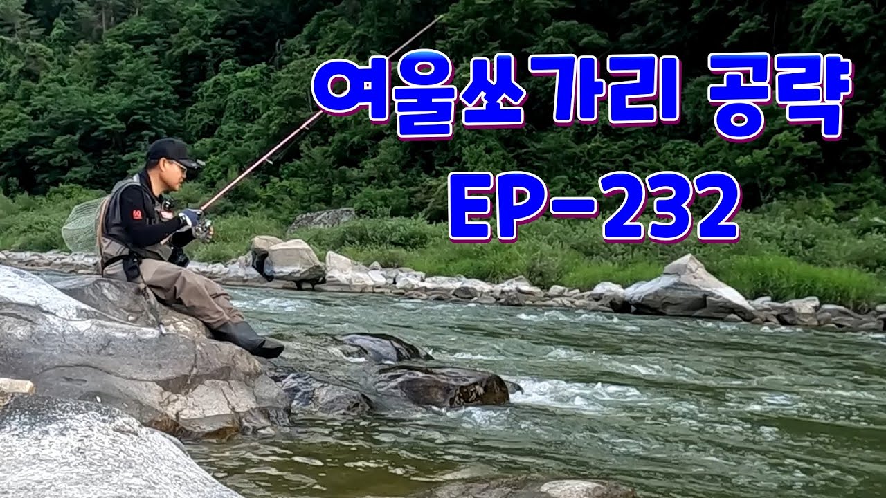 장마전 후 여울 쏘가리 공략법 EP-232
