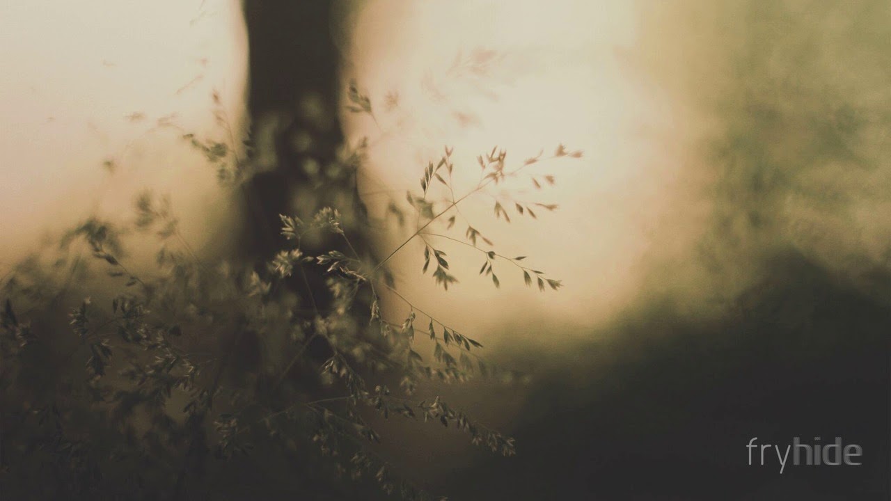 HOSH - Meeting Mia Lee (feat. Mia Lee) [fryhide]