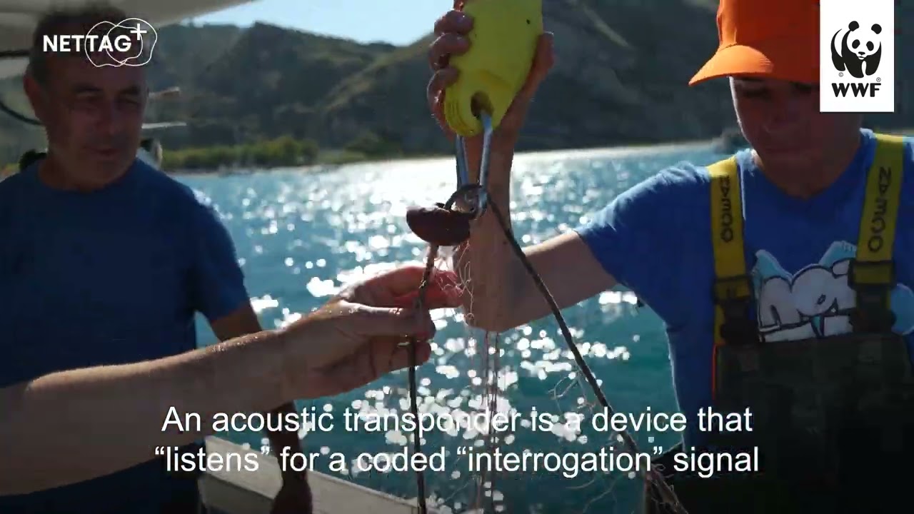 Testing Nettag+ technological solutions with fishers