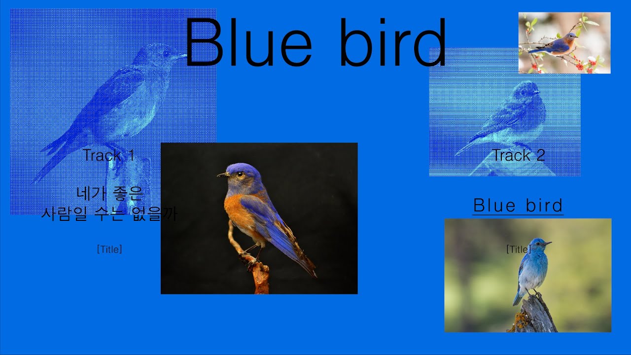 윤지영(Yoon Jiyoung) - 네가 좋은 사람일 수는 없을까 & Blue bird (Title 1hr) / EP 'Blue bird'