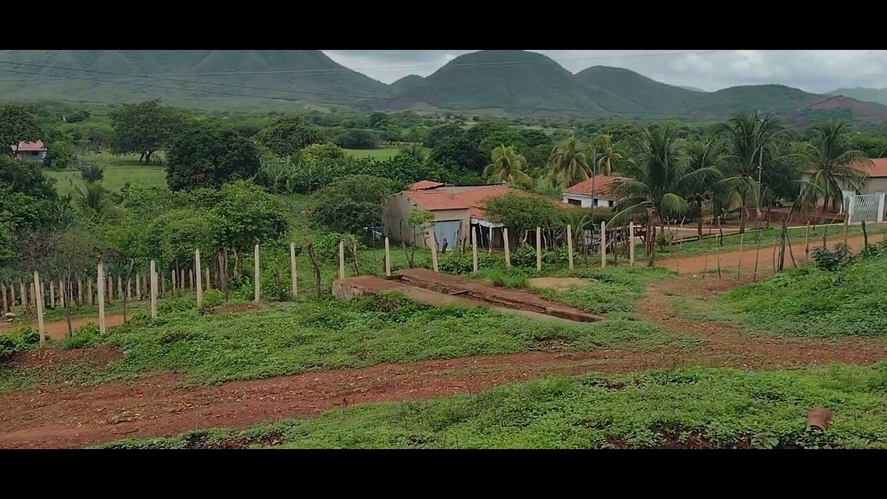 Imagem Du sertão verde 