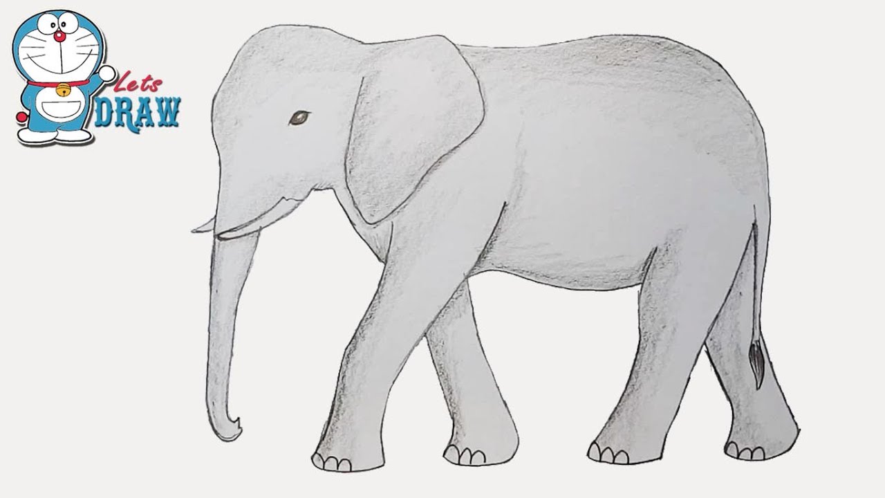 How to draw elephant step by step
