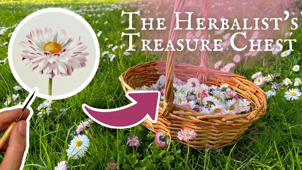 White Flower Painting with Watercolors // The Herbalists Treasure Chest