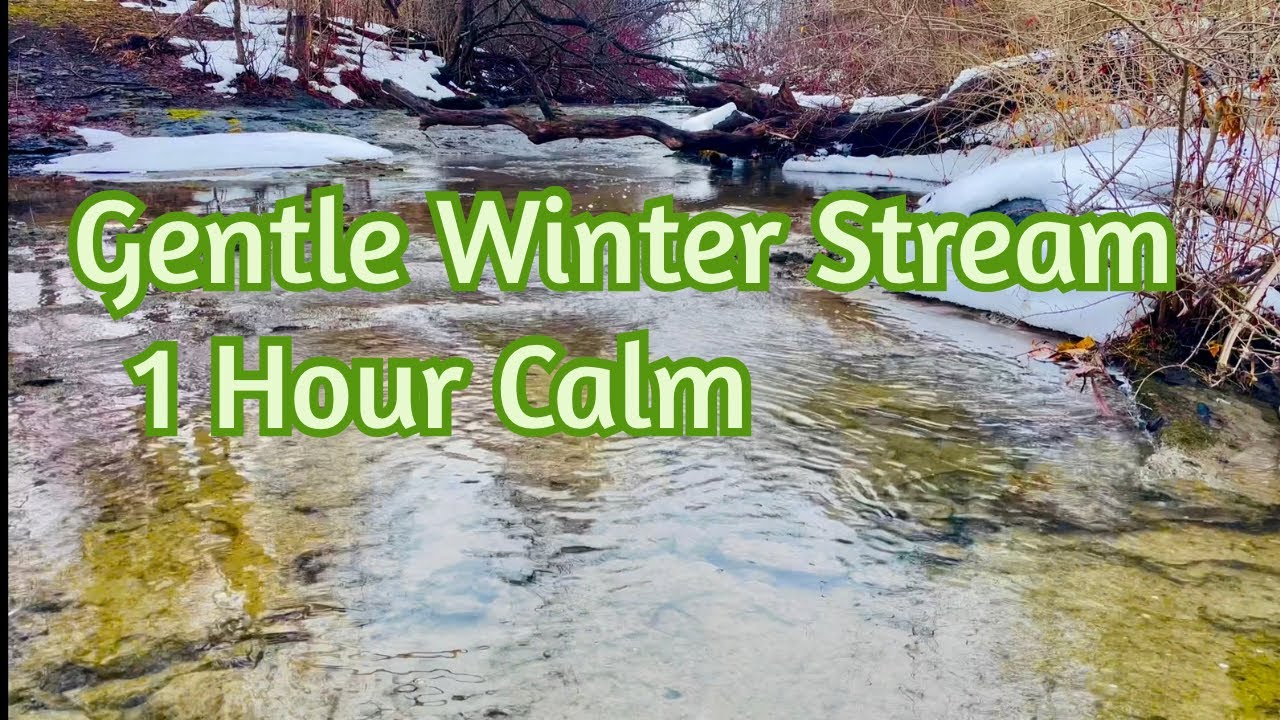 1 Hour Gentle Winter Stream Sounds ❄️ Flowing Water for Sleep, Study & Relaxation