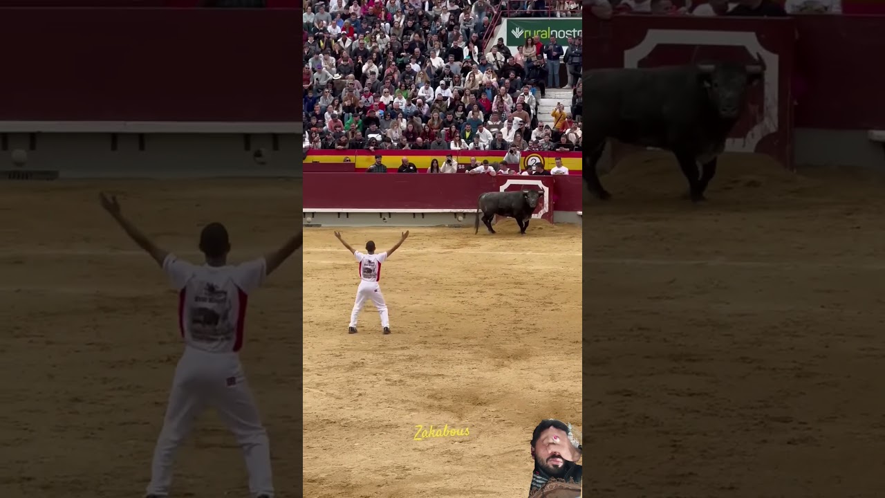 EL MEJOR QUIEBRO A UN TORO BRAVO#tricks#best#bestplayer