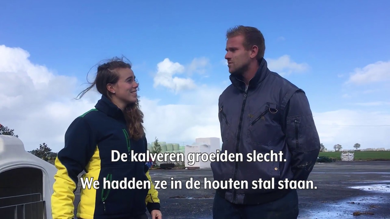 Aandacht voor jongveeopfok | Agrifirm