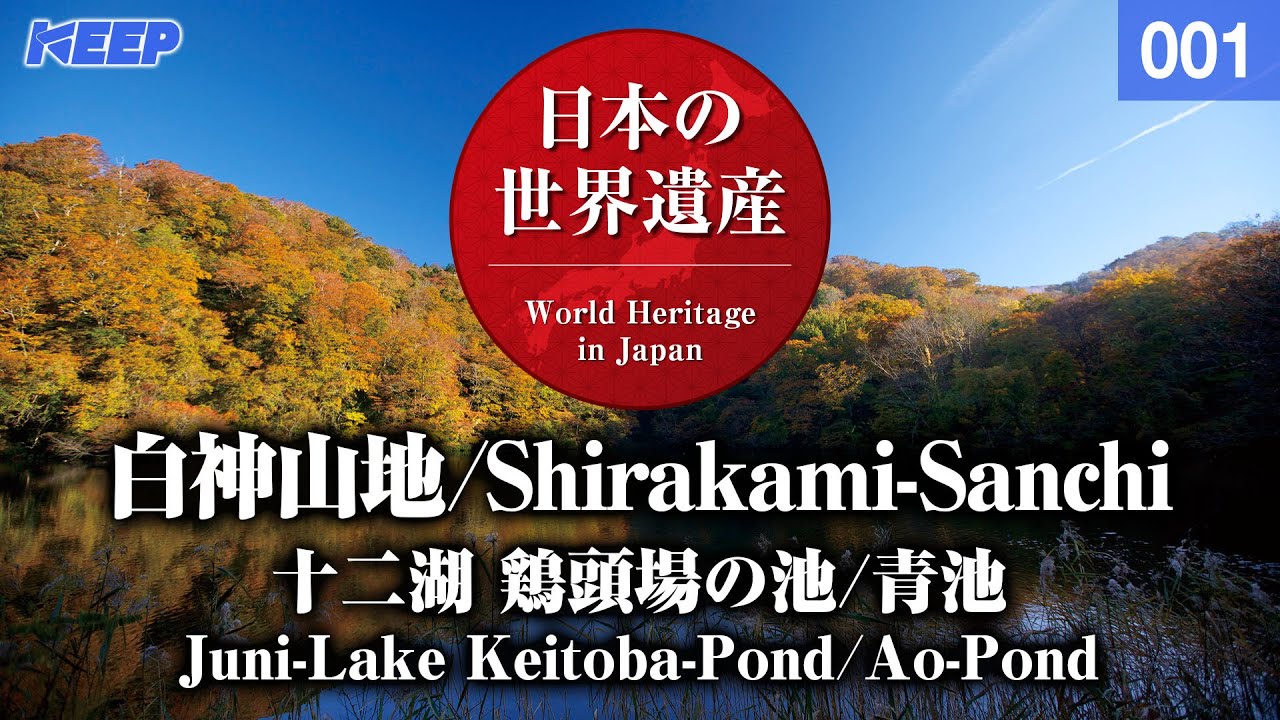 日本の世界遺産 [001] 白神山地/十二湖/青池/WorldHeritage/Shirakami-Sanchi/Juni-Lake/Ao-Pond
