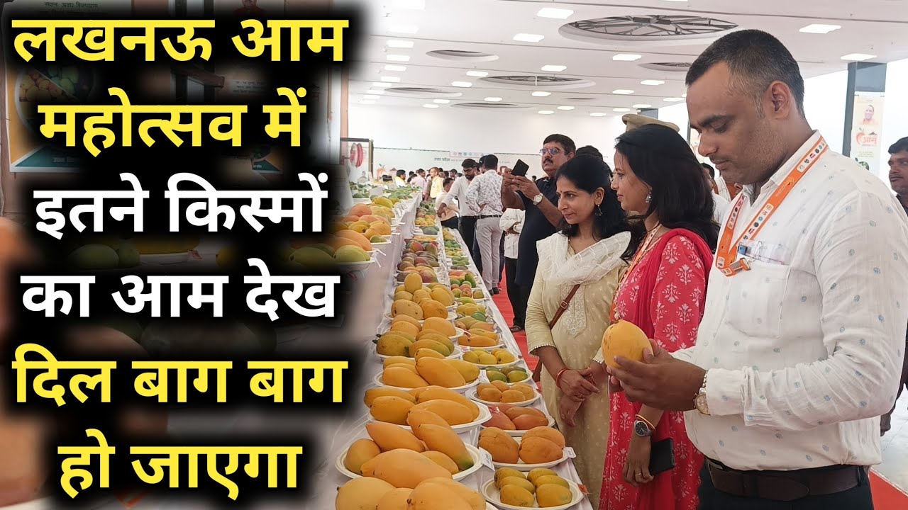 लखनऊ आम महोत्सव में इतने किस्मों का आम देख दिल बाग बाग हो गया | UP Mango 🥭 Festival Lucknow 2024