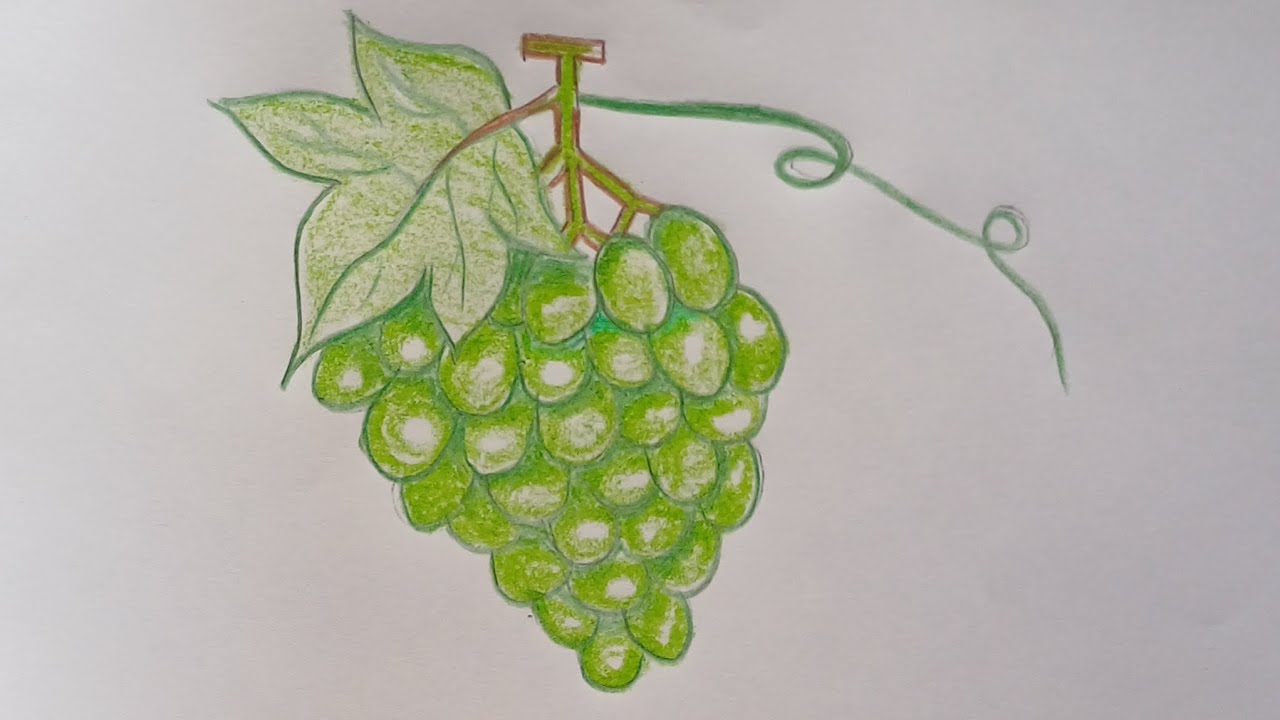 How to draw grapes ll very easy ll step by step 