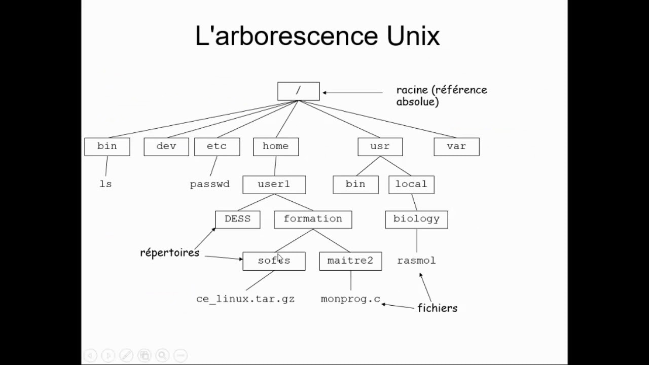 L'arborescence des fichiers sous Linux