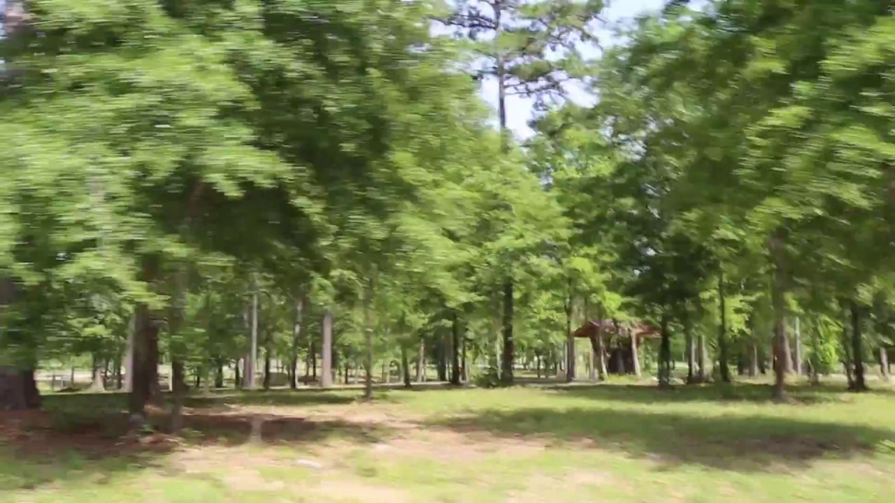 Tour in Texas Grand Ranch