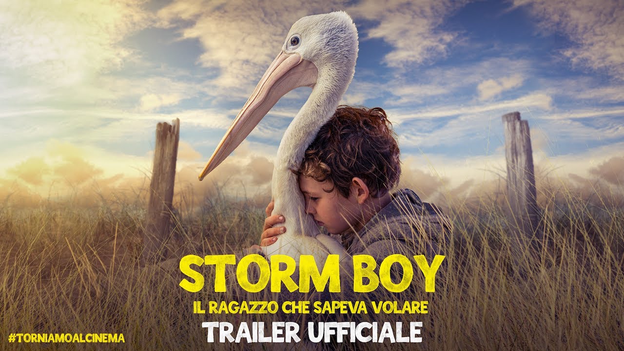 STORM BOY - Il ragazzo che sapeva volare - Trailer Ufficiale