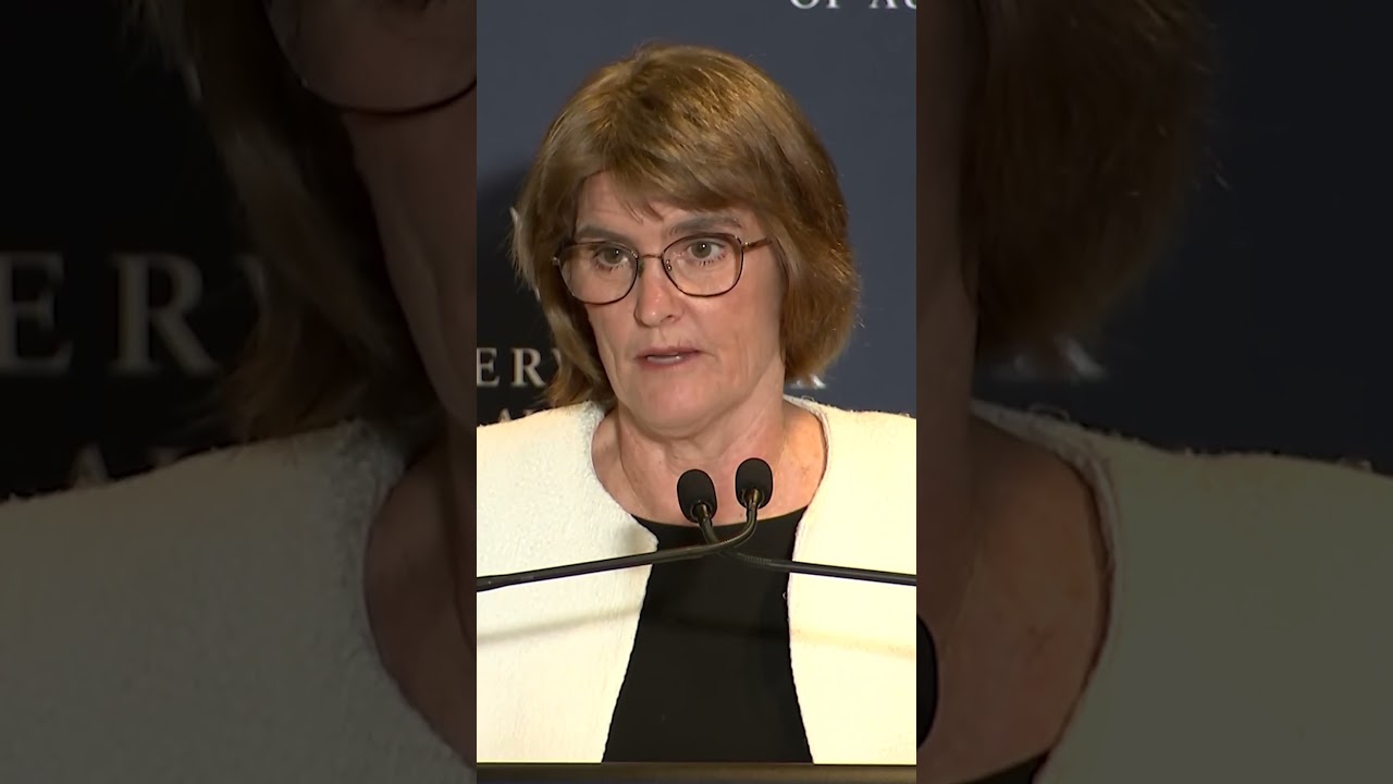 Interest rates on hold or a rate hike are the focus for Michele Bullock and the RBA's in 2026.