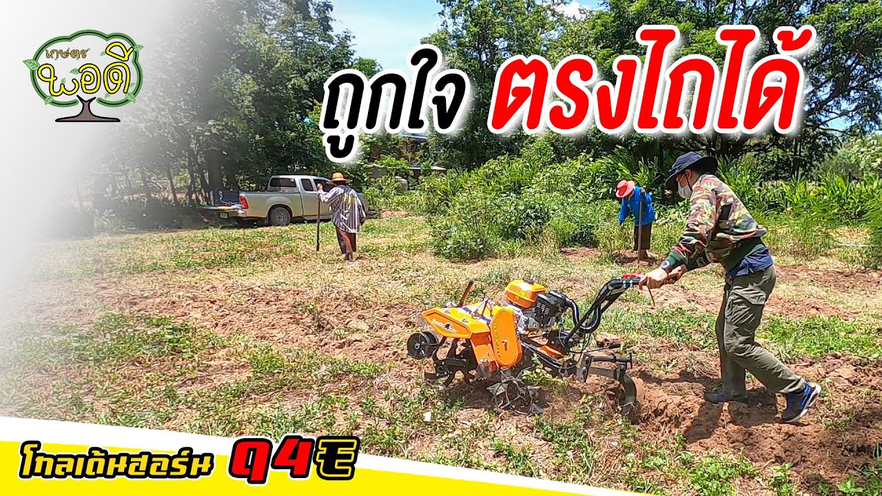 เห็นเขาใช้แล้วก็อยากได้บ้าง ครบเครื่องขนาดนี้ รถพรวนดินโกลเด้นฮอร์น รุ่นQ4E จ. นครราชสีมา