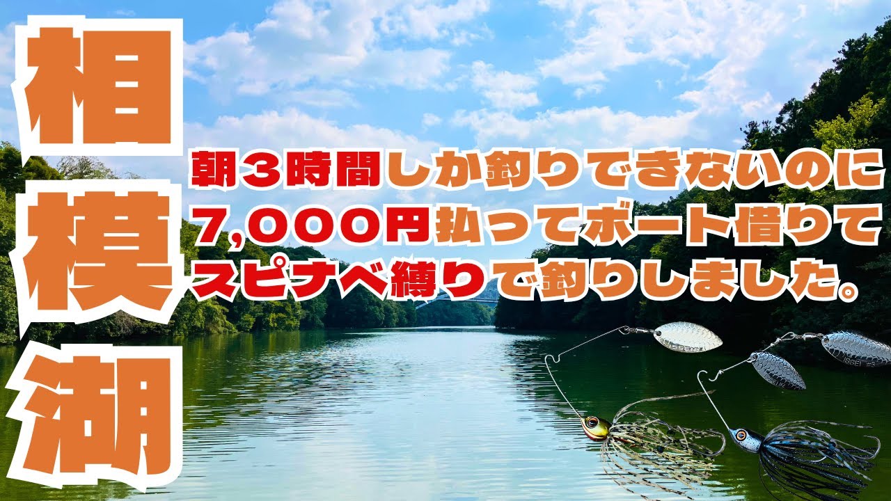 秋の相模湖はスピナベが熱い！信じて巻き続けろ！