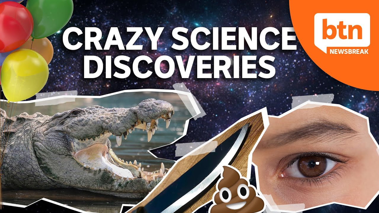 The Weird and Surprising of Scientific Research, The Ig Nobel Prize