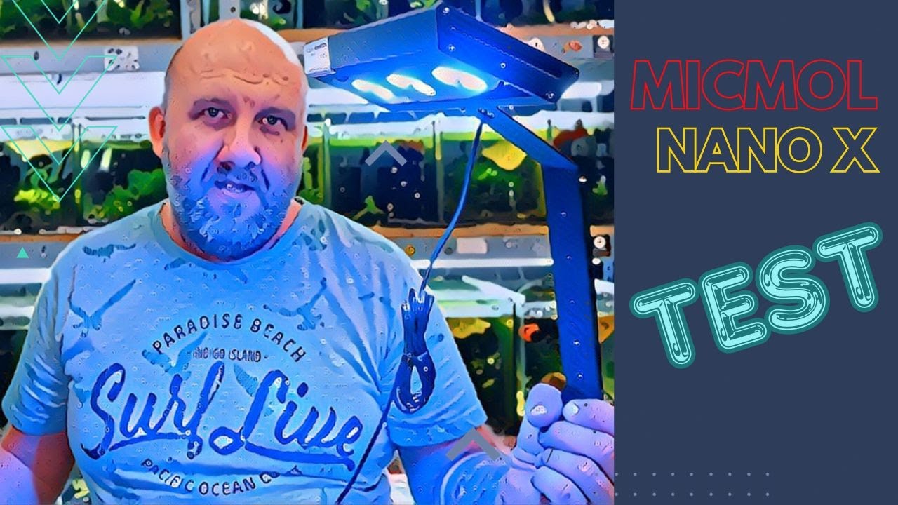 MicMol NanoX - tanie oświetlenie do nano akwariów