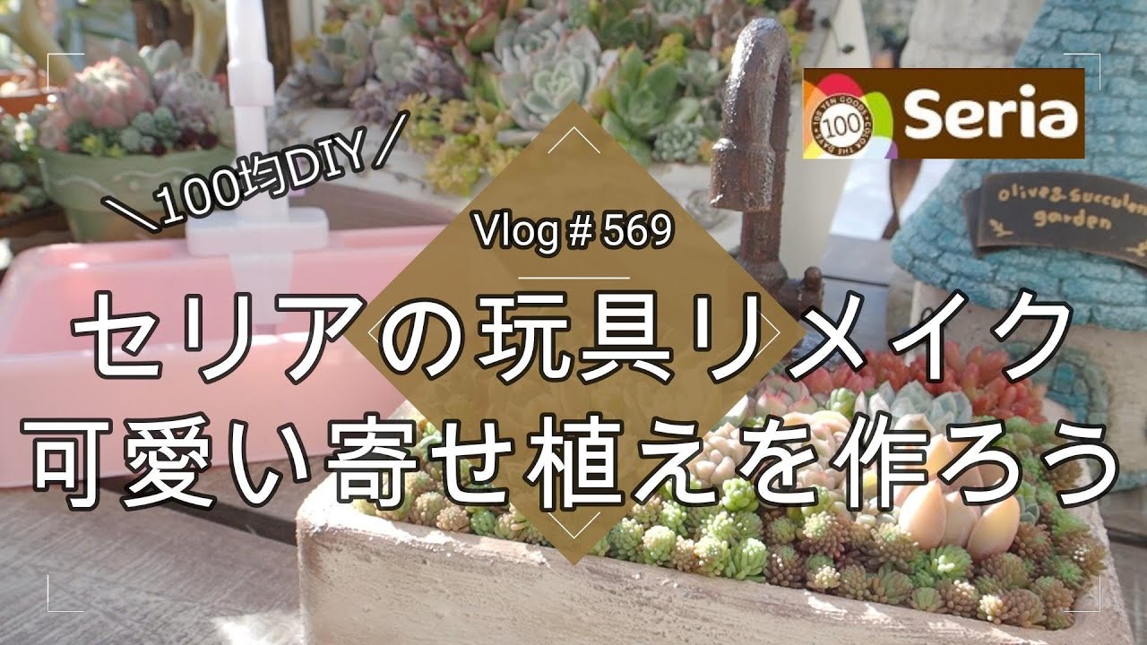 【Vlog569】【多肉植物】セリアの玩具リメイク🎨可愛い寄せ植えを作ろう【100均リメイク】