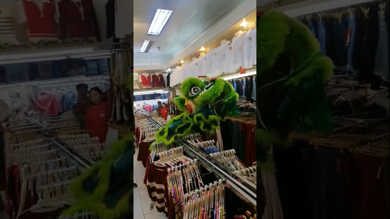 Happy CNY! 🧧🐲 #chinesenewyear #chinesenewyear2025 #lunaryear #yearofthesnake #2025 #chinesedragon