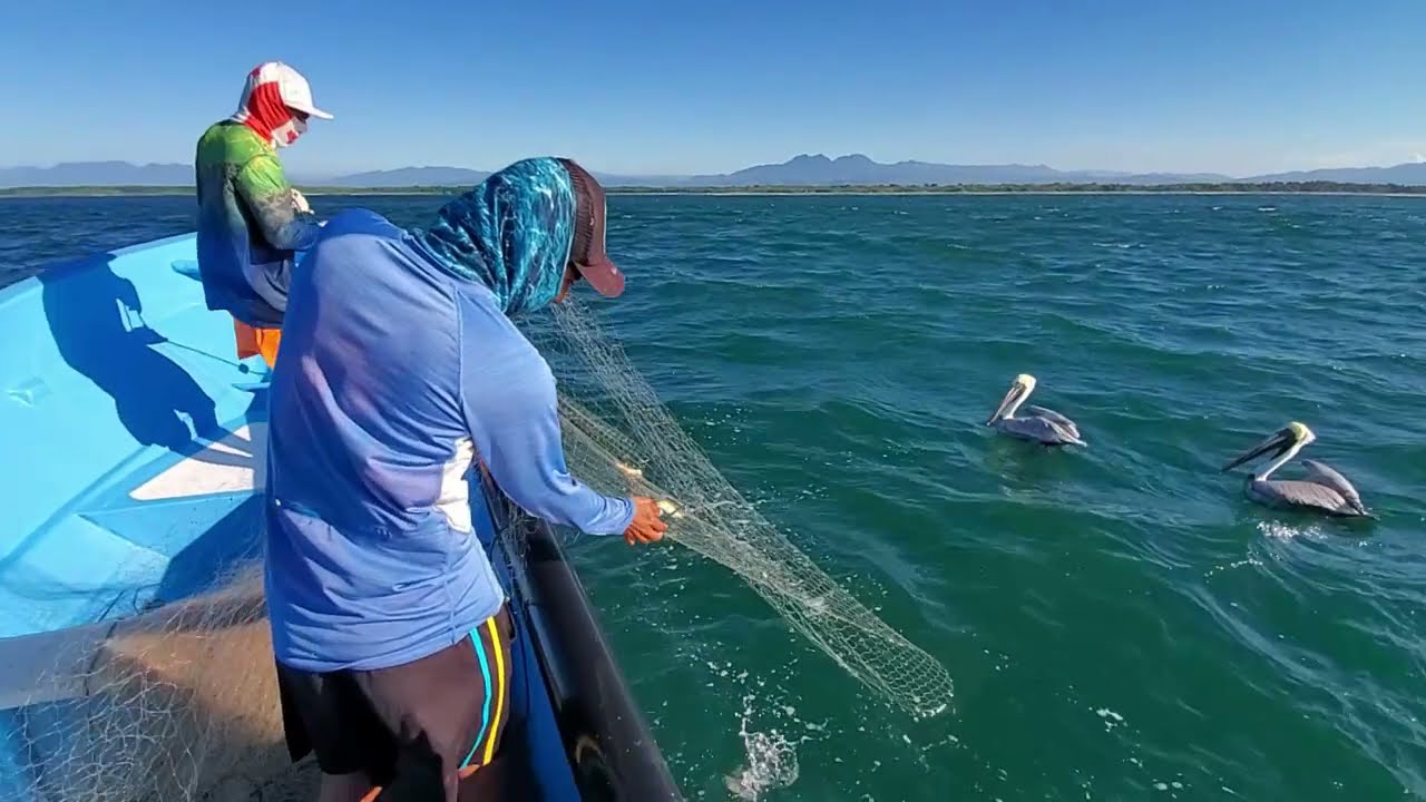 PESCA CON TRASMALLO en el mar
