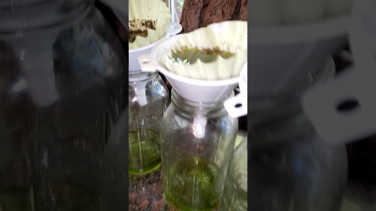 Making Cannabis Oil