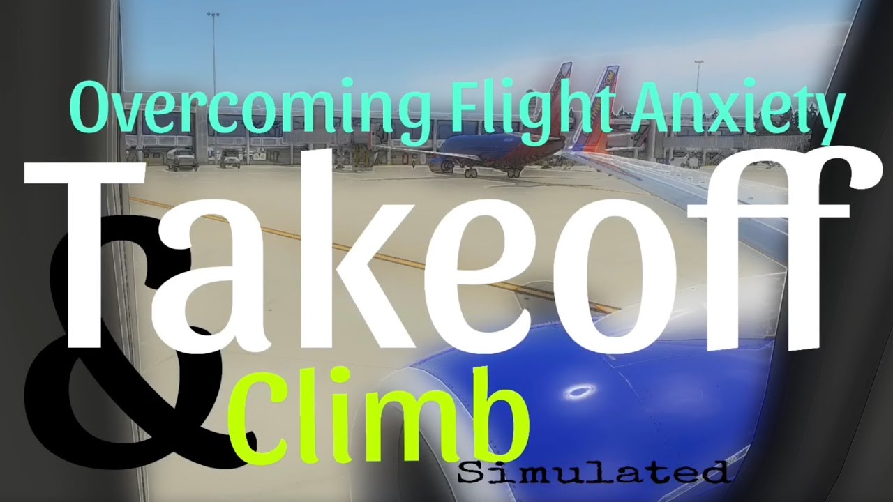Overcome Your Fear of Flying With this Simulation pt2 Takeoff and Climb Simulated #fear #simulation