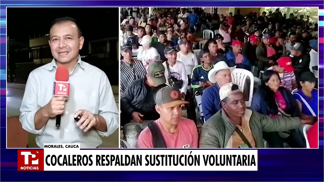 Cocaleros del Cauca respaldan sustitución voluntaria tras defensa de Petro en Washington