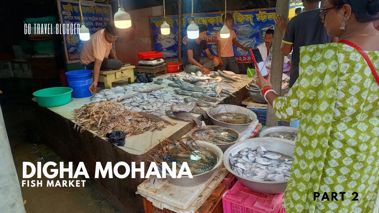 Digha Mohana Fish Market | Digha Fish Market | Digha Tour 2024