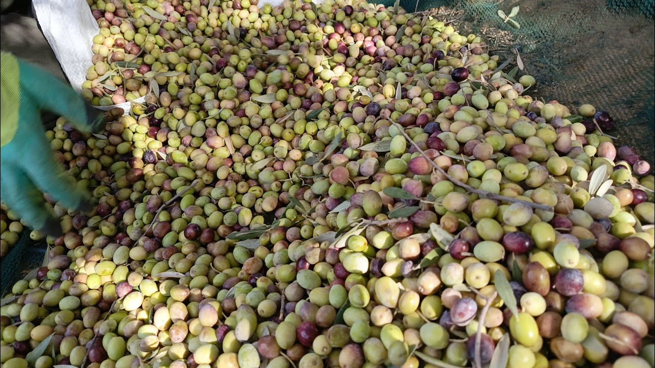 تجربة جديدة ونهار على طبيعته💥اجواء الريف البسيطة❤️