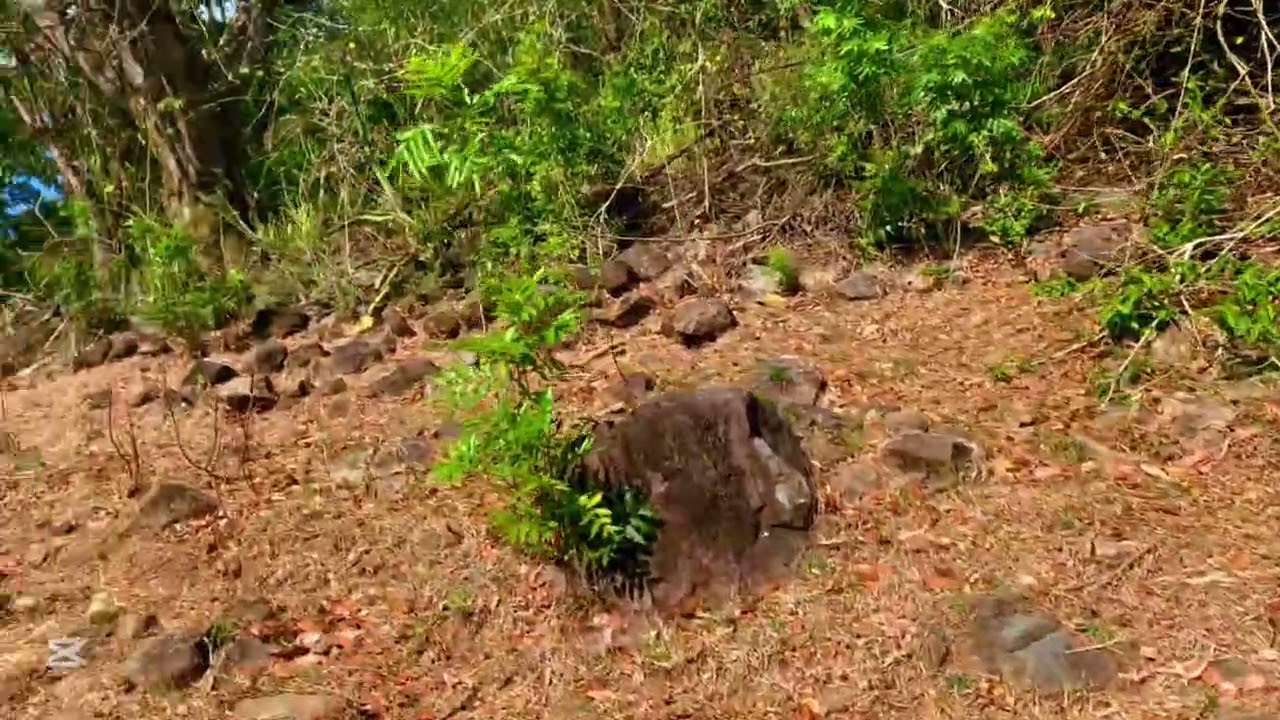 Acá caminando en estos lugares muy bonitos #pisajesbelleza