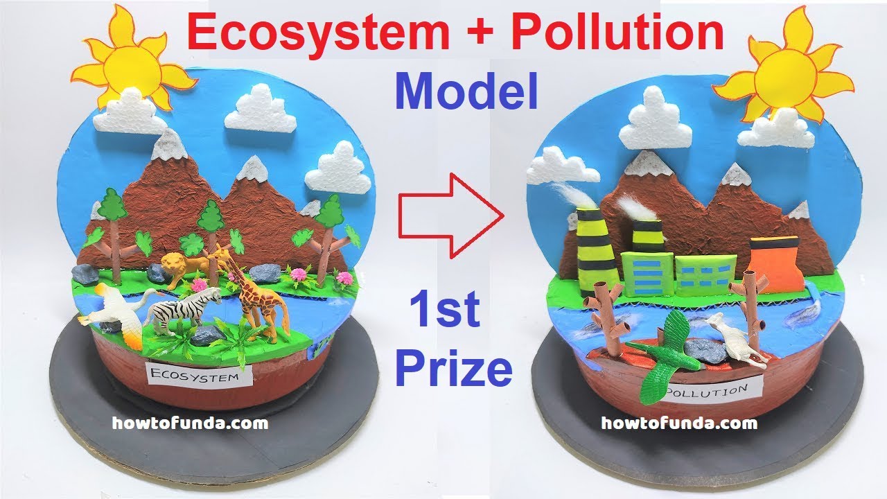 ecosystem and pollution model making for science project | DIY at home | howtofunda | still model