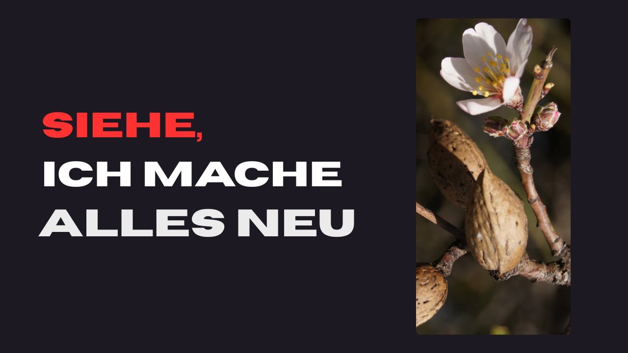 Siehe, ich mache alles neu! – Gottes Hoffnung für die Zukunft | Jahreslosung 2026 ✨