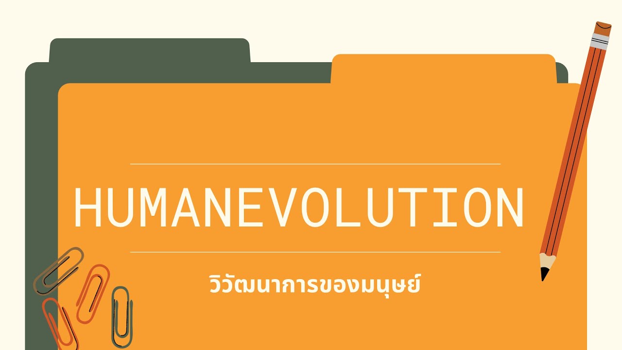วิวัฒนาการของมนุษย์ Human Evolution หลักฐานวิวัฒนากรของมนุษย์
