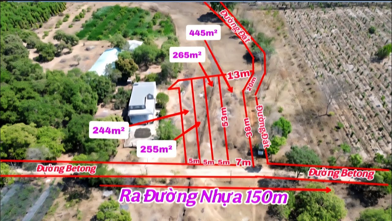 (74) Từ 160-178TR | Đất Tân Hưng Dân đông đường thông có 100m2 tc mỗi lôLH 0867251968 @bdsbinhphuoc