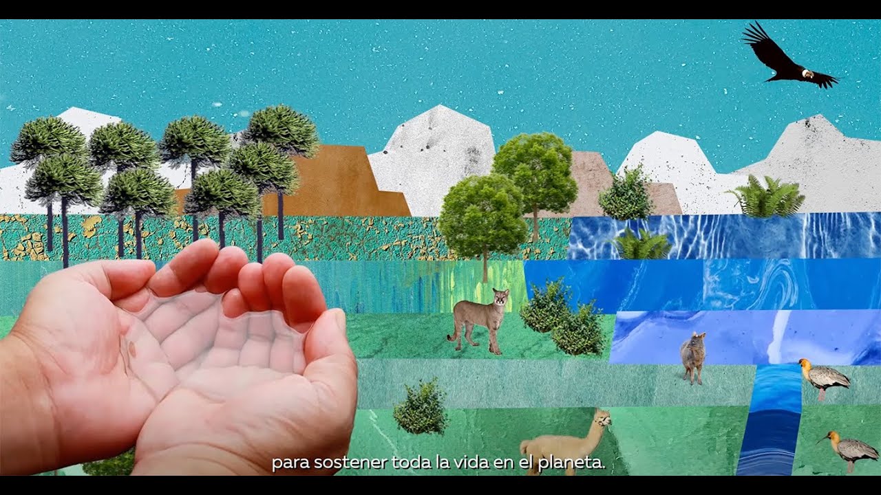 Priorización de los usos del agua -EH2030